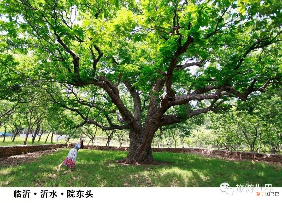 山东旅游景点 五一不宅家，山东33处好景任你玩