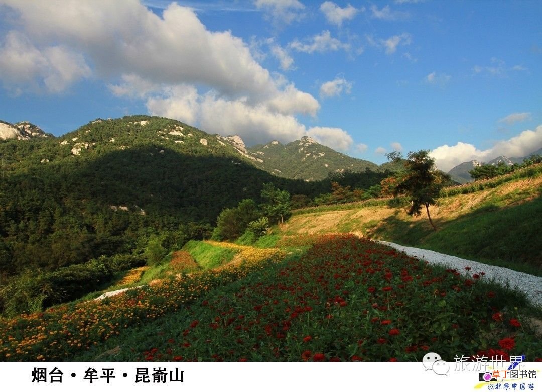 山东旅游景点 五一不宅家，山东33处好景任你玩