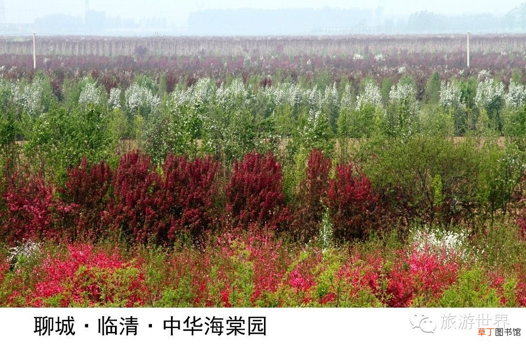 山东旅游景点 五一不宅家，山东33处好景任你玩