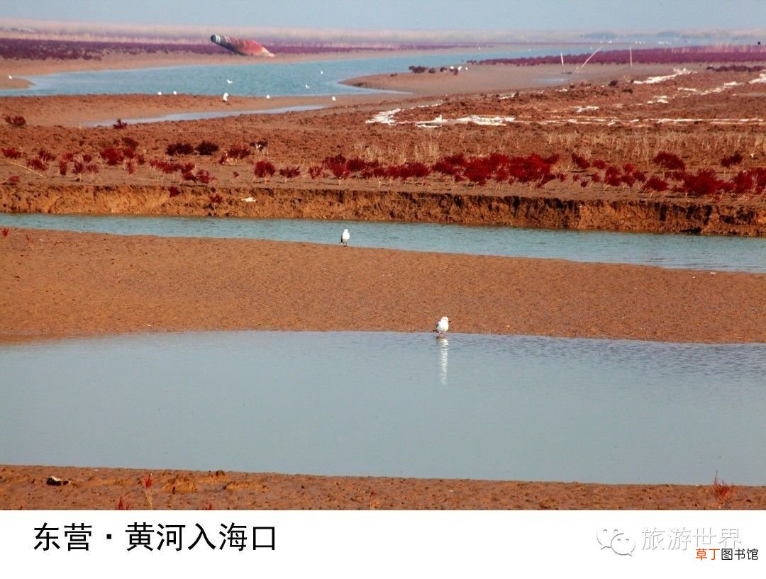 山东旅游景点 五一不宅家，山东33处好景任你玩