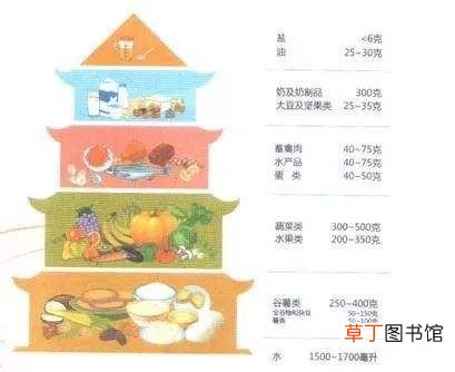 食品的分类 食物的五个类别要了解
