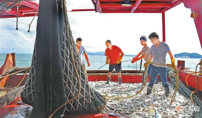 “小布”休惊 这些海域建议不要捕捞 南海开渔