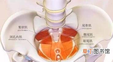 碰到尾骨为啥这么疼 为什么尾骨痛