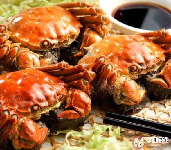 8月18日正确答案解析 蚂蚁庄园螃蟹煮熟后为什么会变红