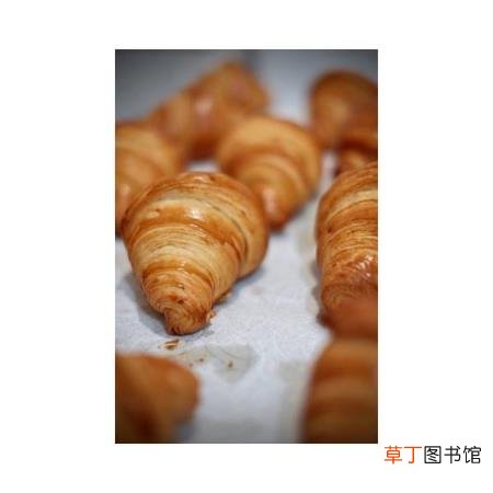 可颂面包 面包为什么苦