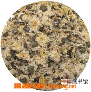 杭菊的功效与作用