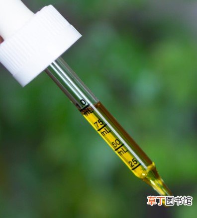 快乐鼠尾草精油的功效与作用