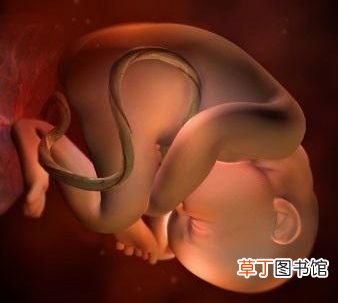 怀孕35周注意事项 怀孕35周胎儿发育详情