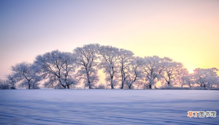 女人梦见家里很厚的雪