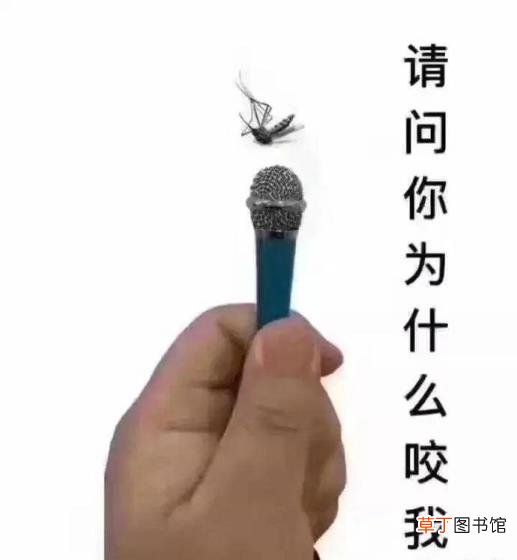 小孩经常肚子痛是什么原因 为什么会有登革热