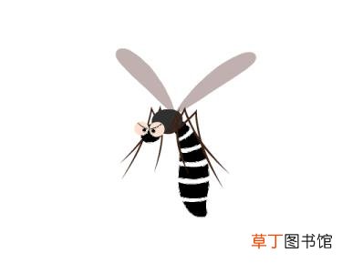 小孩经常肚子痛是什么原因 为什么会有登革热