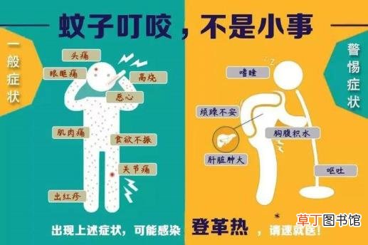 小孩经常肚子痛是什么原因 为什么会有登革热
