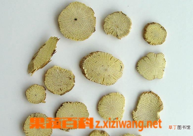 川木通的功效与作用