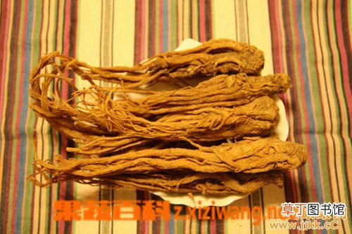 当归的作用和功效有哪些
