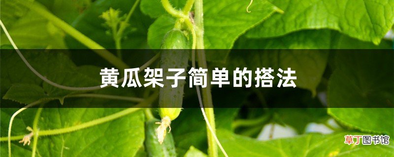 黄瓜架子简单的搭法