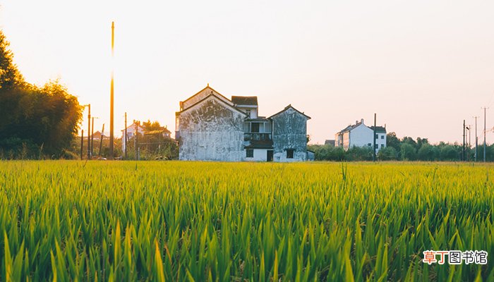 梦见房子开裂快要倒塌是什么意思