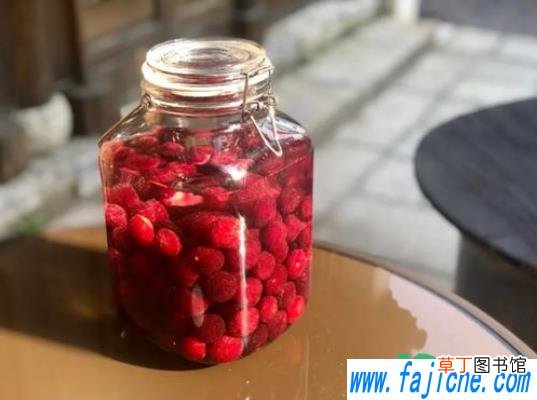 杨梅泡酒冰糖怎么放 泡杨梅酒冰糖放到底可以吗