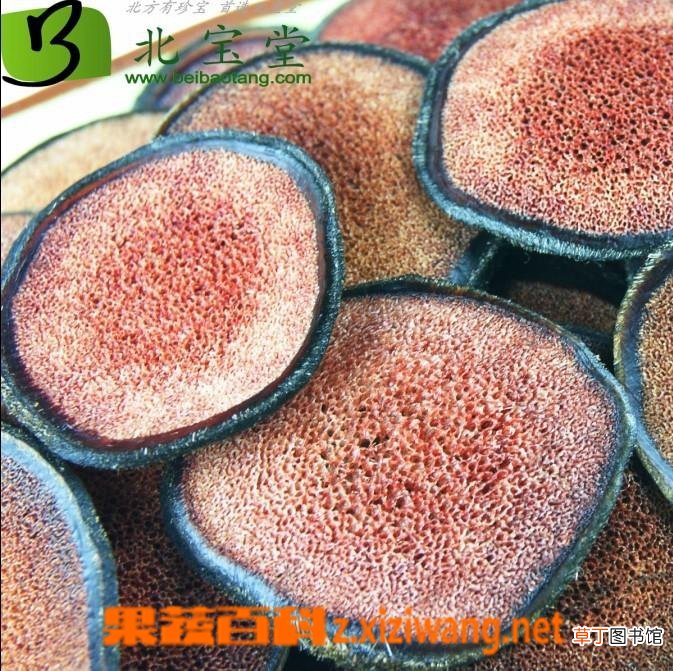 鹿茸的功效