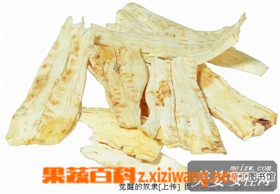 当归的功效和作用