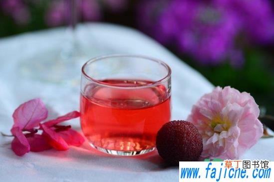 杨梅酒杨梅不拿出来可以吗 杨梅酒里的杨梅能一直泡在里面吗