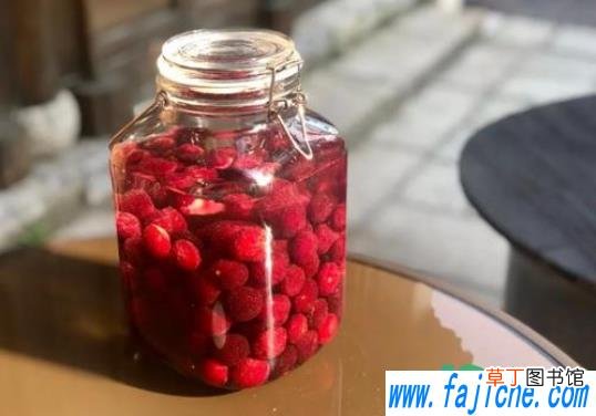 杨梅泡酒能用热吹风吹干吗 泡杨梅酒杨梅可以用吹风吹干吗