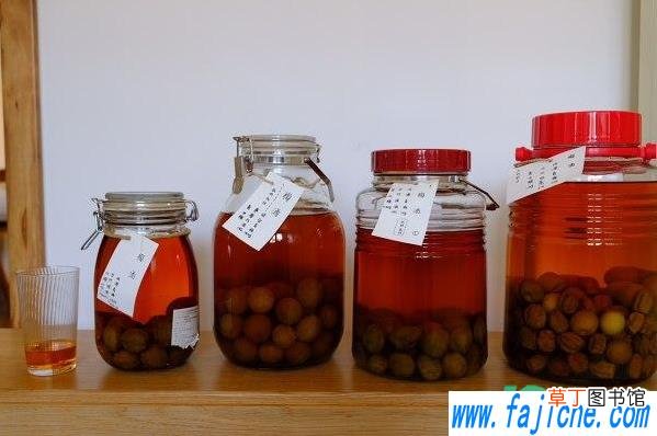 泡杨梅酒是用杨梅干吗 杨梅泡酒是用鲜果还是干果