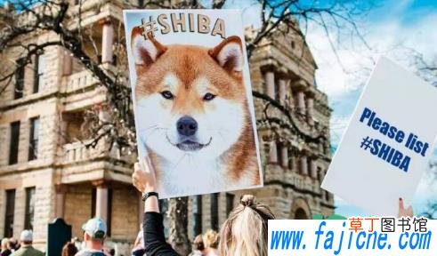 shib币未来前景 SHIB这个币做什么的