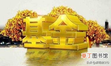 中国最厉害的散户股神 徐翔为什么被抓