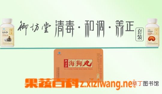 海狗油的作用
