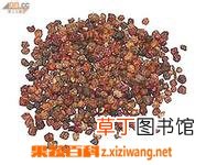 五味子的功效和作用