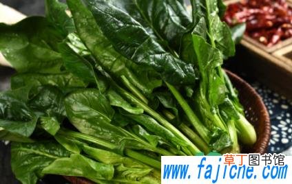 菠菜很小就开花是怎么回事 菠菜长花了能不能吃
