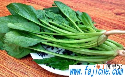 菠菜很小就开花是怎么回事 菠菜长花了能不能吃