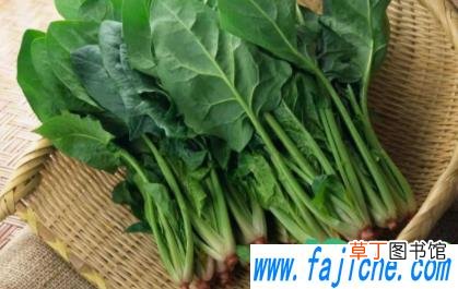 菠菜很小就开花是怎么回事 菠菜长花了能不能吃