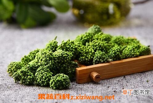 37花的功效 田七花的功效和药用价值