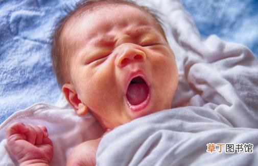 母乳是母亲给予婴儿的特别礼物 母乳喂养注意事项
