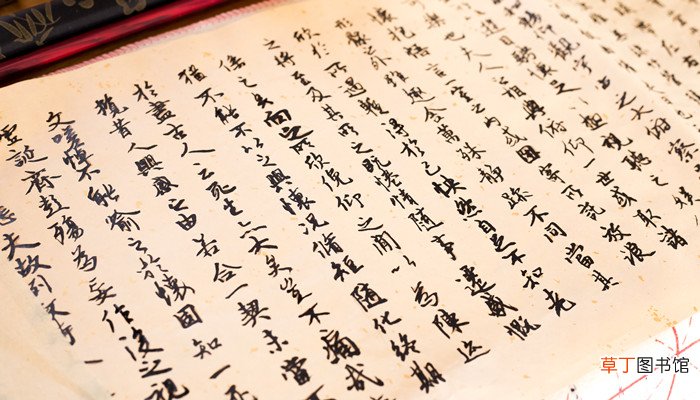 梦见学知识