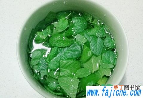 薄荷凉拌吃了起什么作用 薄荷凉拌要焯水吗