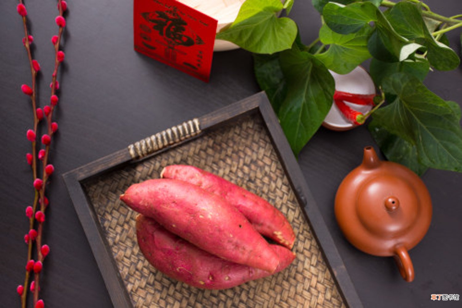怎么育红薯苗