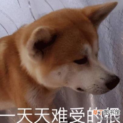 手脱皮是什么病的预兆 手为什么老是脱皮