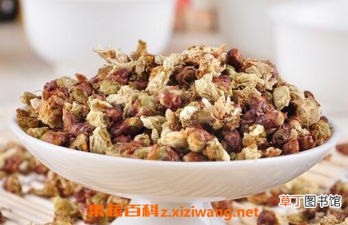 白梅花的药用功效与作用