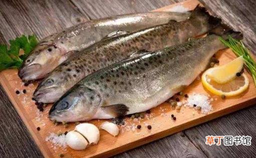 给宝宝添加高致敏食物时要注意 宝宝饮食法则大公开