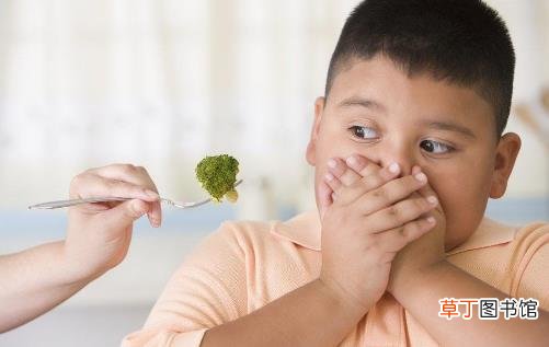 宝宝不爱吃饭总是追着喂可咋整 宝宝的开胃食谱推荐