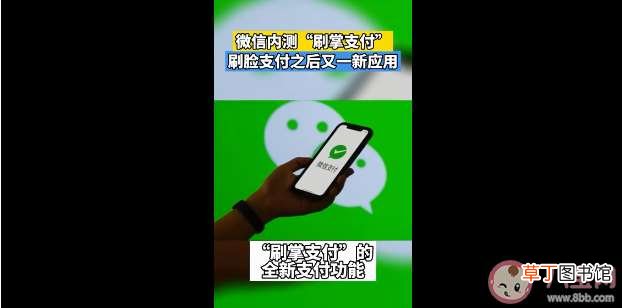 刷手支付安全吗有什么好处 微信或支持刷手支付