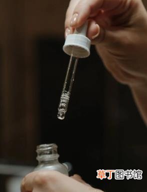 绿茶籽精华怎么用