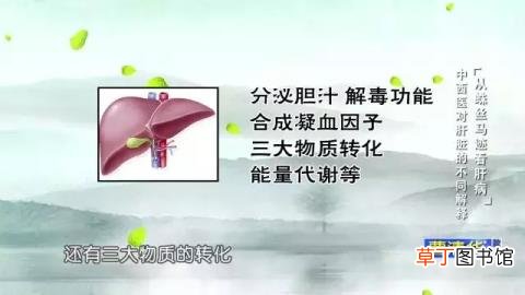 手上长血红色的点是为什么? 手上为什么长斑