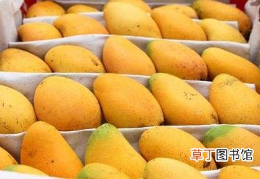 芒果里面发黑能吃吗 芒果为什么会发黑