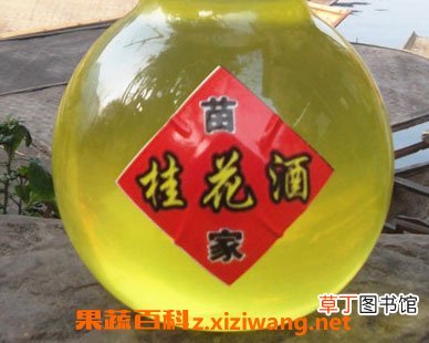 桂花酒的功效与作用 桂花酒的药用价值