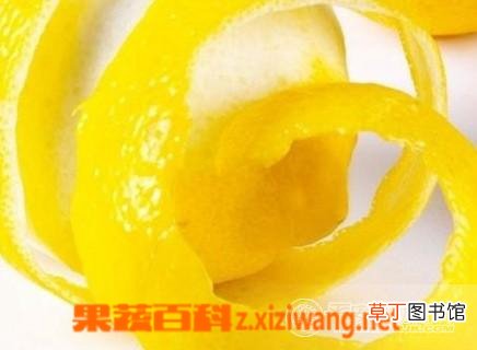 橙子皮的功效与作用