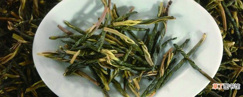 苦丁茶的养殖方法