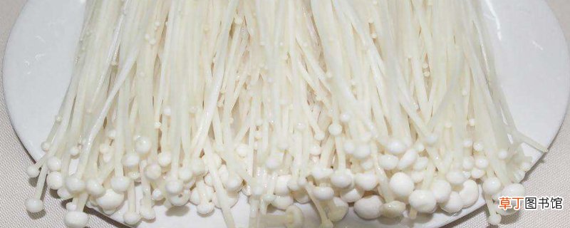 金针菇怎么养